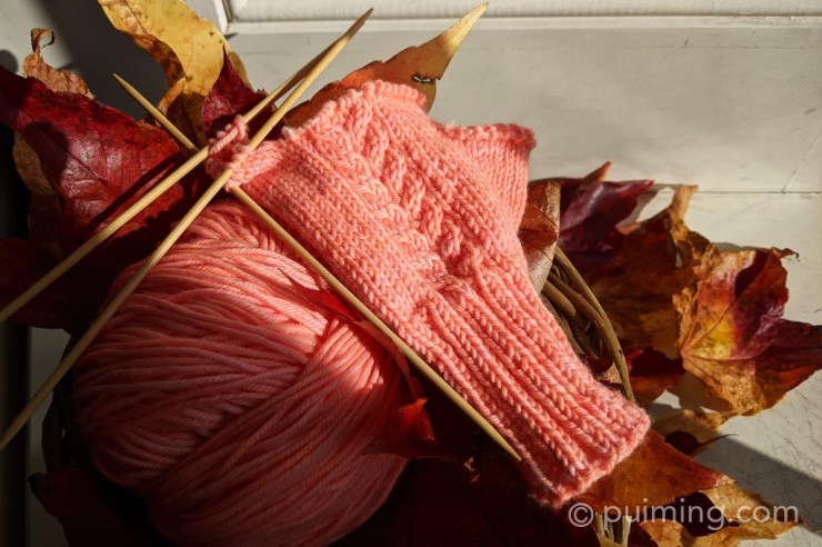 2020.10 Fingerless Gloves