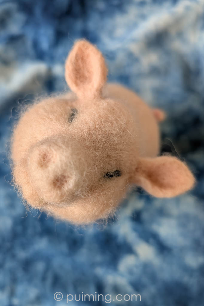 2025.07 Oink Oink