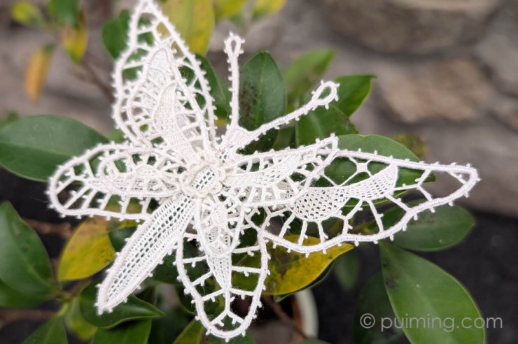 2026.01 Burano Lace Butterfly
